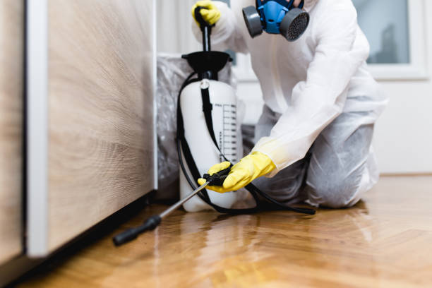 Best Pest Prevention Services  in Wurtsboro, NY