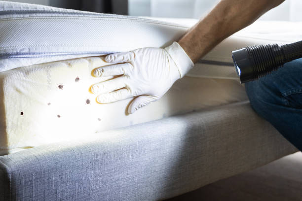 Best Best Pest Control Companies  in Wurtsboro, NY