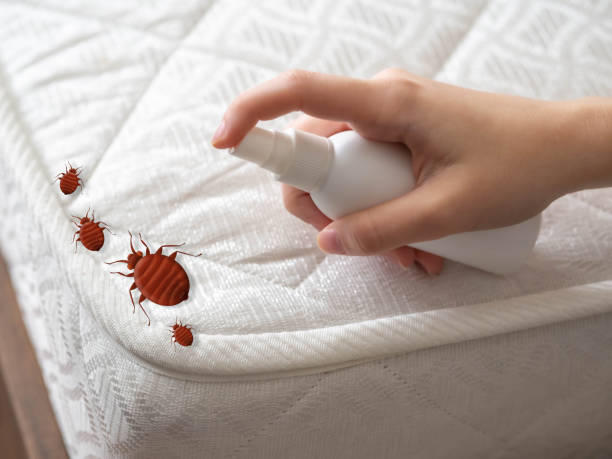 Best Insect Control  in Wurtsboro, NY