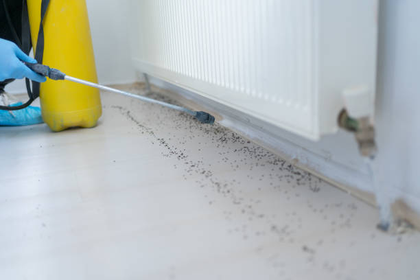 Best Affordable Pest Control Services  in Wurtsboro, NY